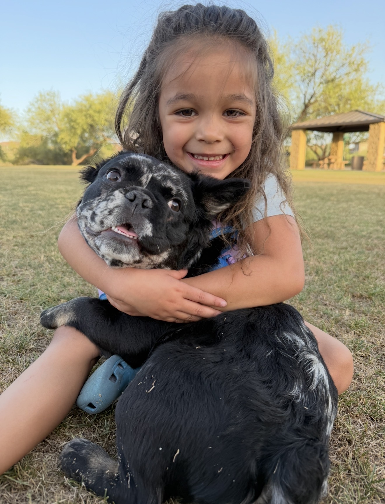A smiling child cuddling our merle French bulldog outdoors